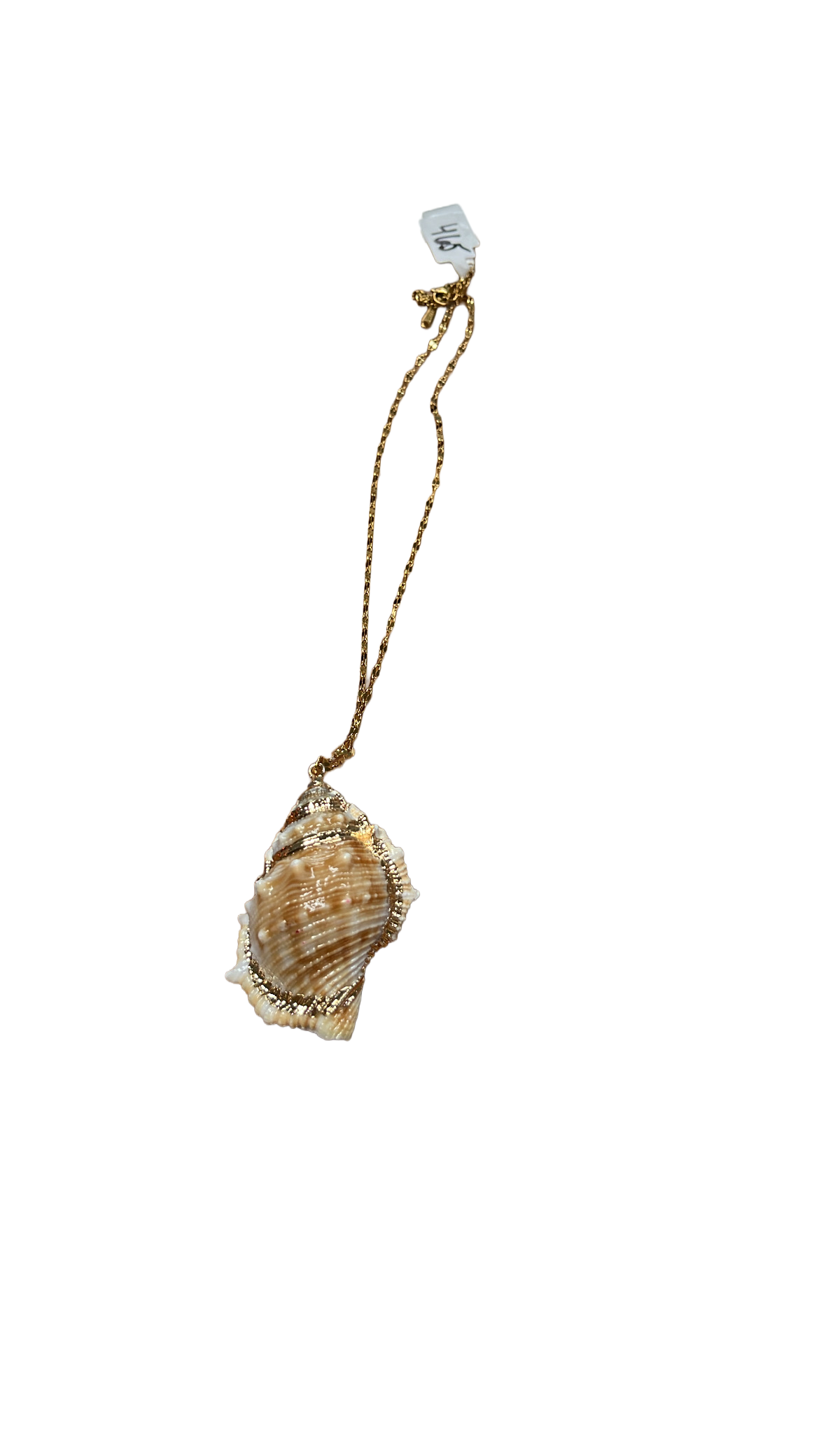 Sea Shell Necklace